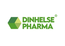 DINHELSE CRM logo